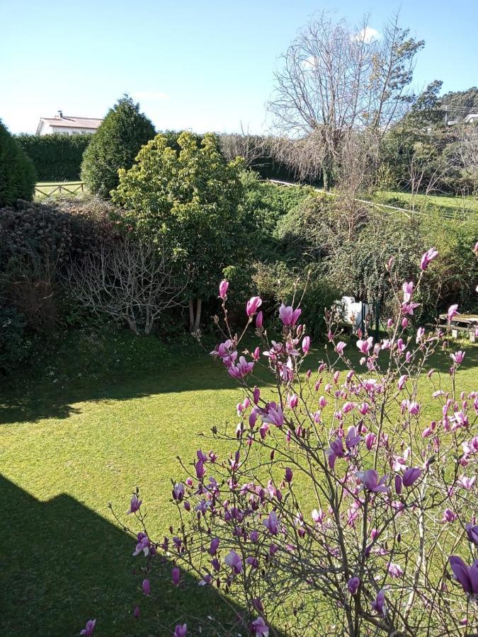 Hostal San Cristobal - Pontedeume Kültér fotó