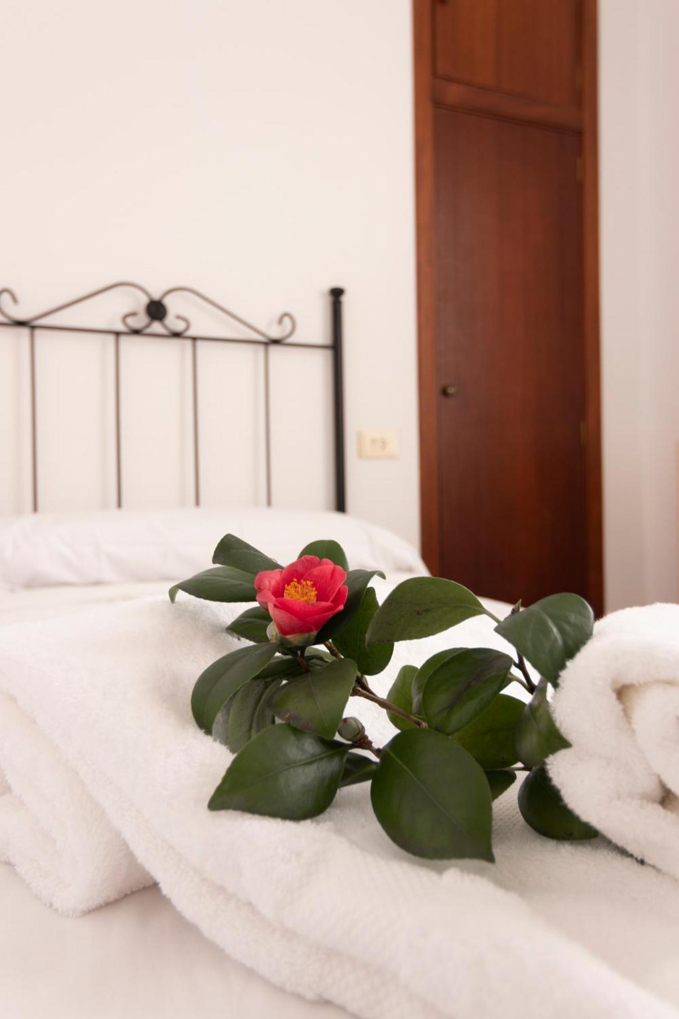 Hostal San Cristobal - Pontedeume Kültér fotó